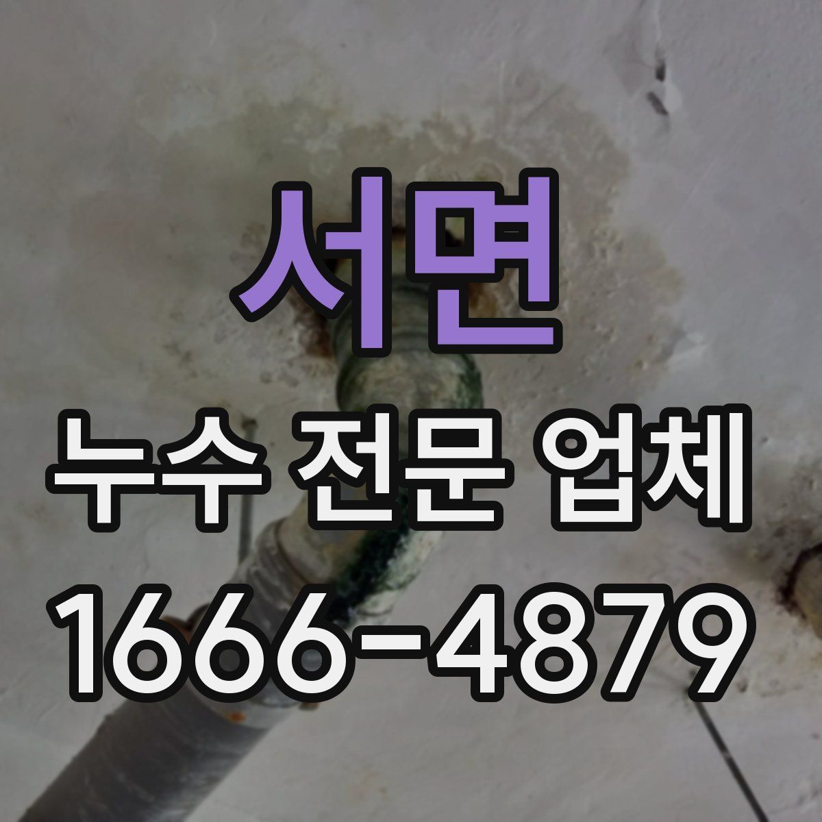 서면 누수 전문 업체