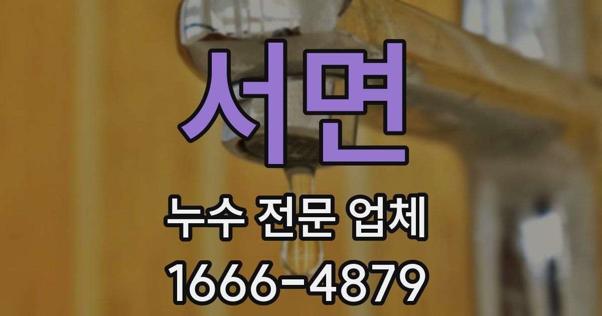 서면 누수 전문 업체