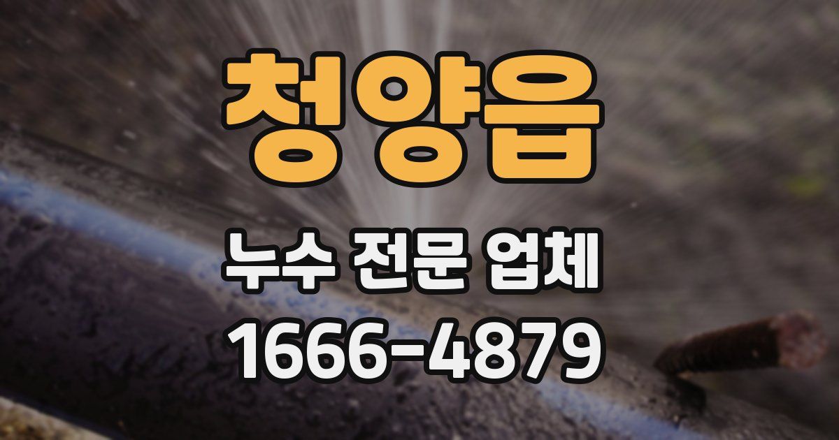 청양읍 누수 전문 업체