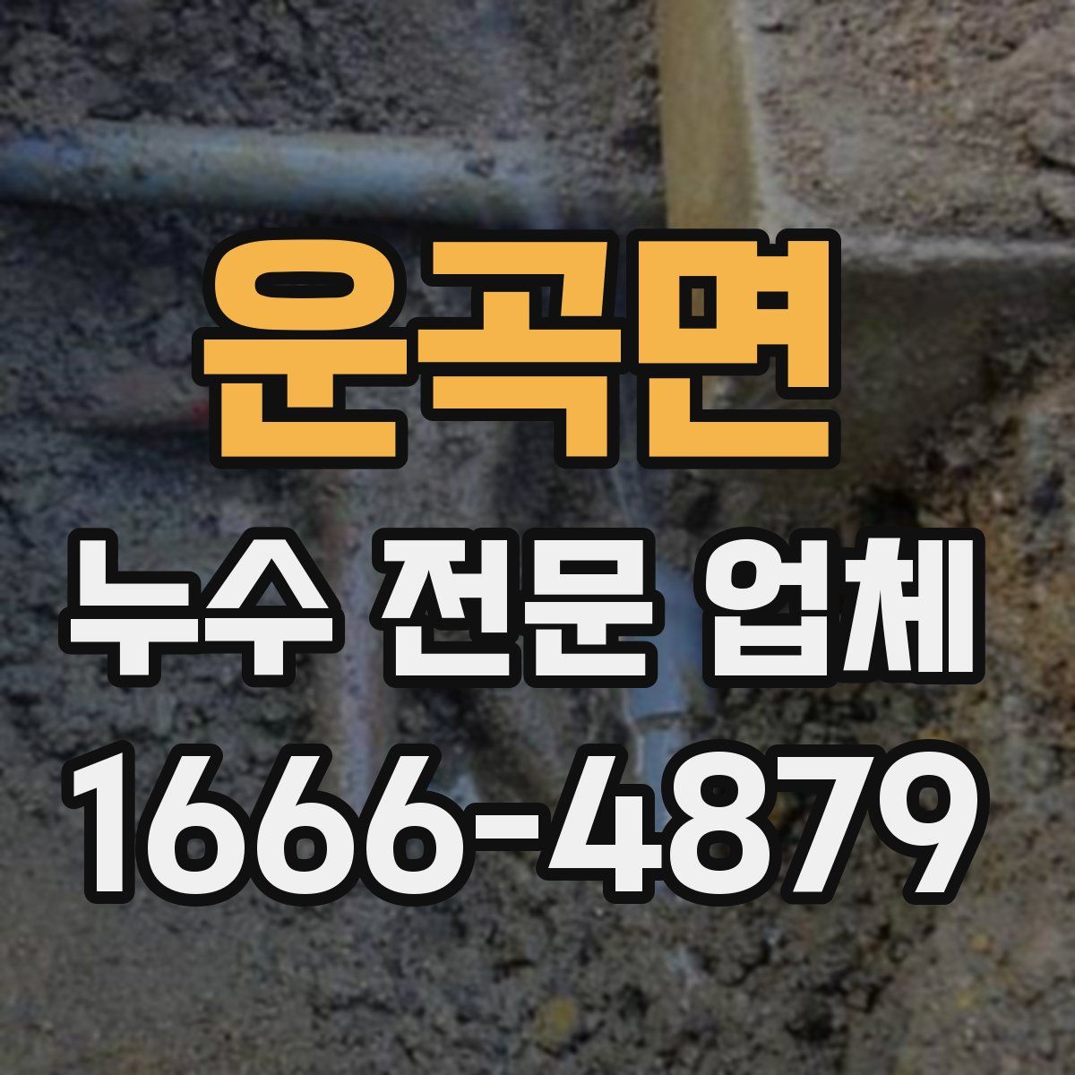 운곡면 누수 전문 업체