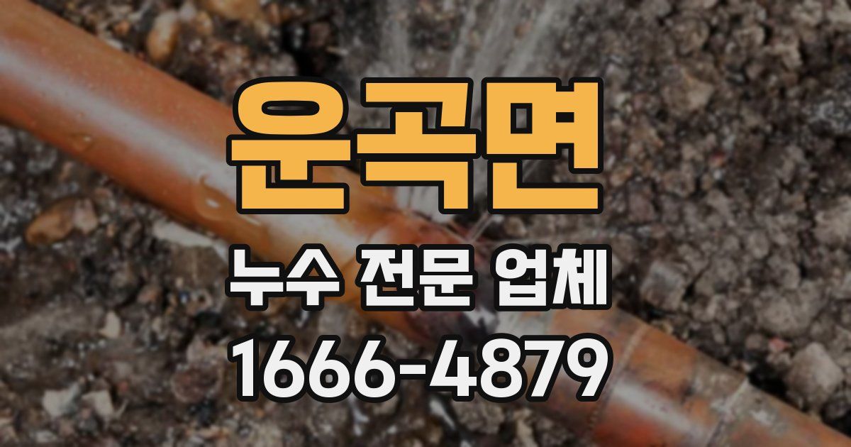 운곡면 누수 전문 업체