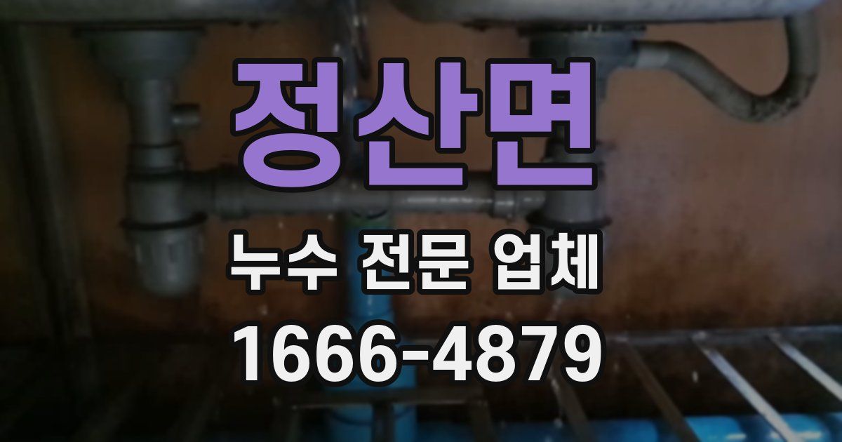정산면 누수 전문 업체