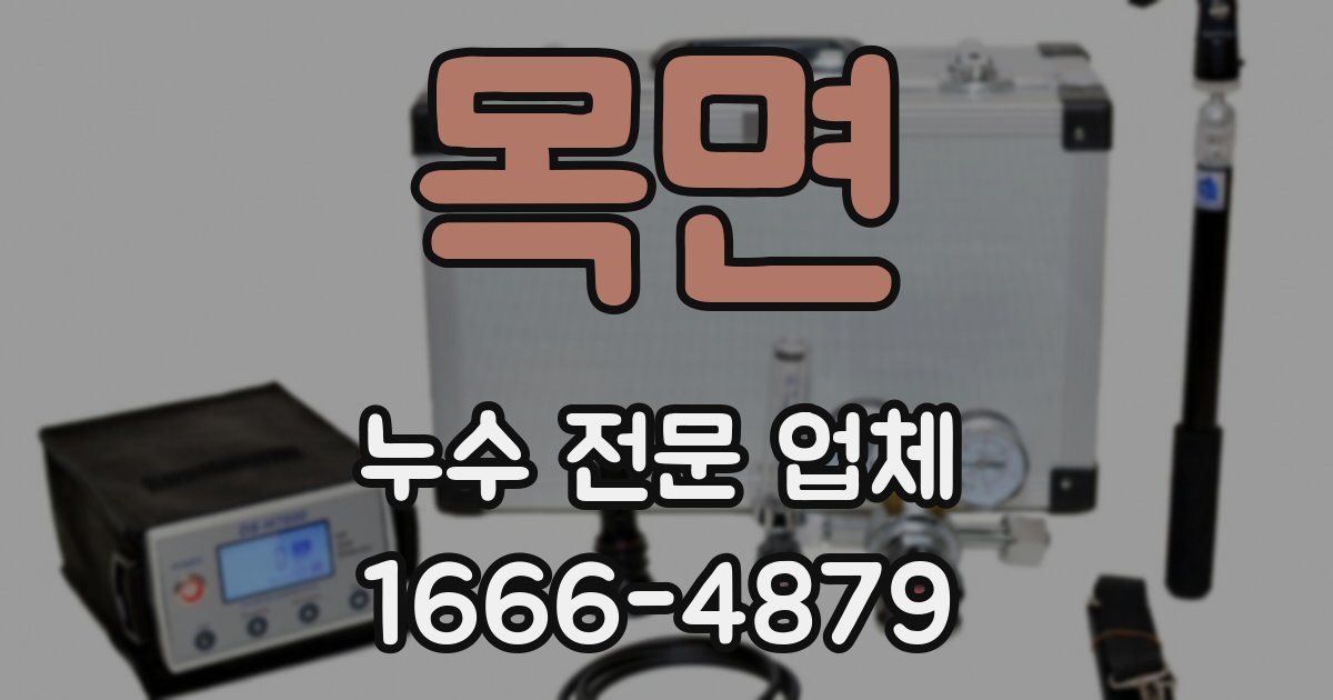 목면 누수 전문 업체