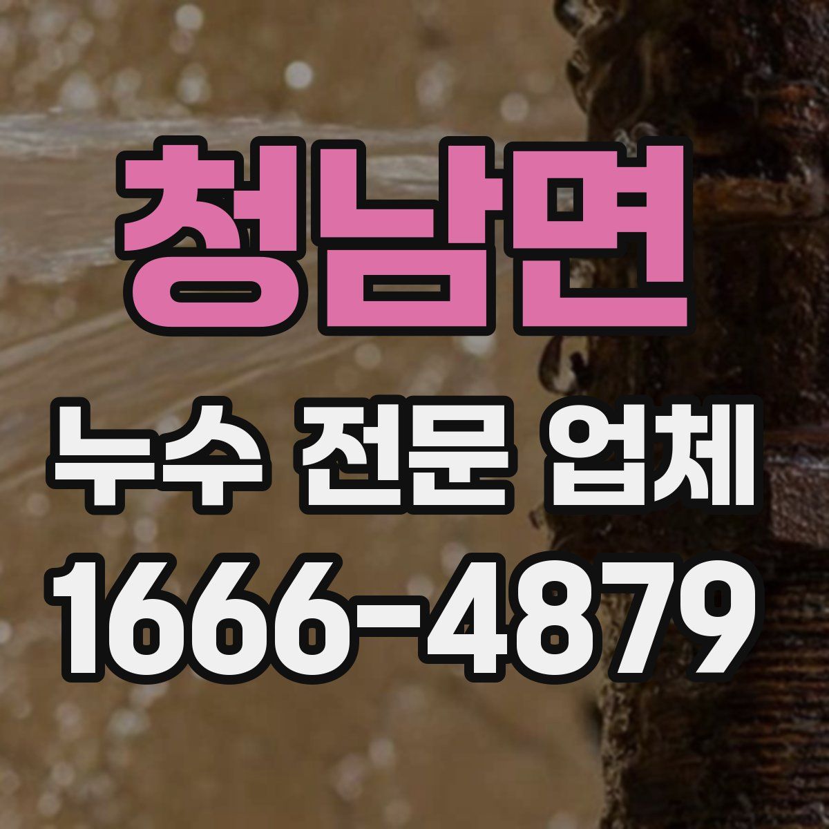 청남면 누수 전문 업체