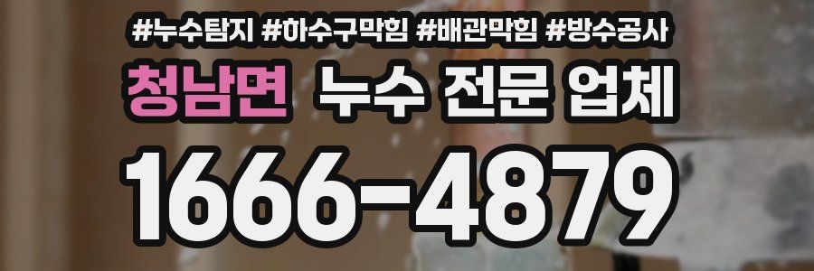 청남면 누수 전문 업체