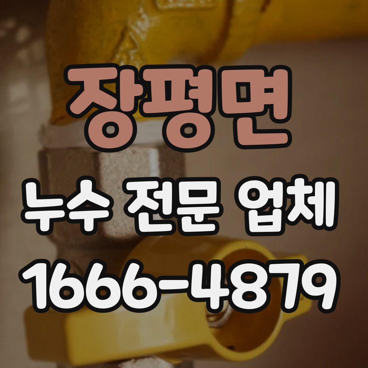 장평면 누수 전문 업체