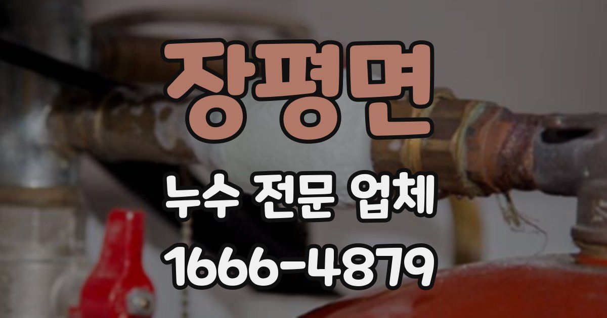 장평면 누수 전문 업체