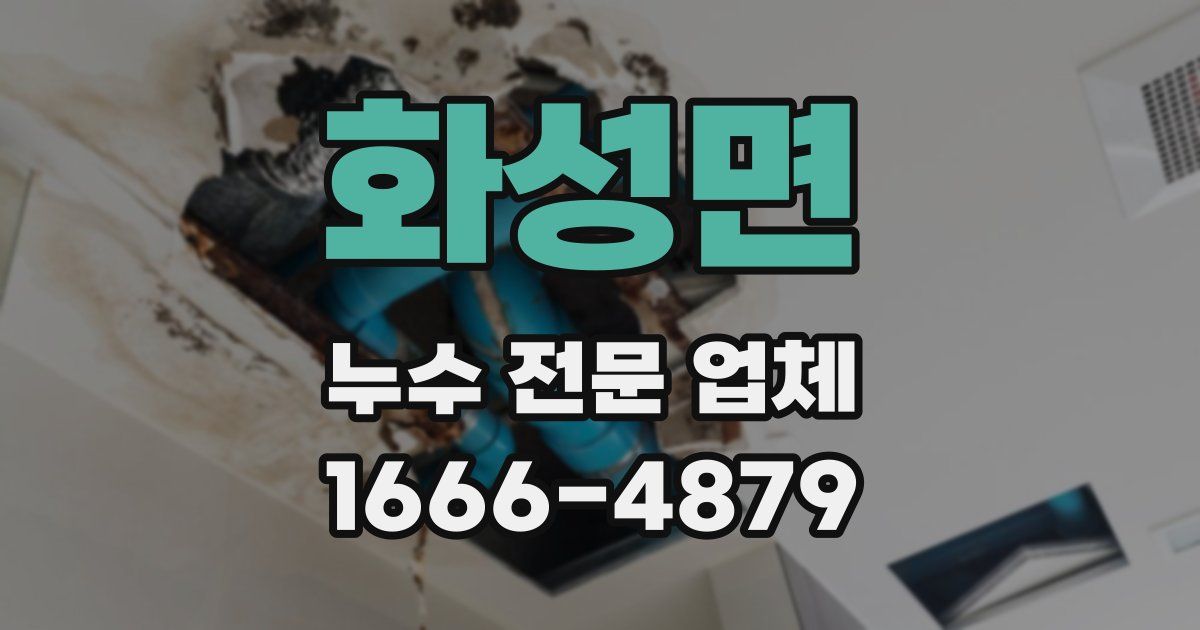 화성면 누수 전문 업체
