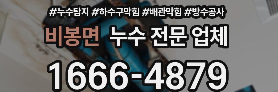 비봉면 누수 전문 업체