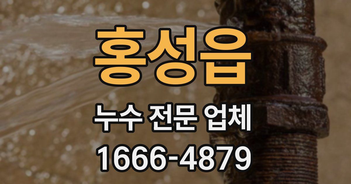 홍성읍 누수 전문 업체