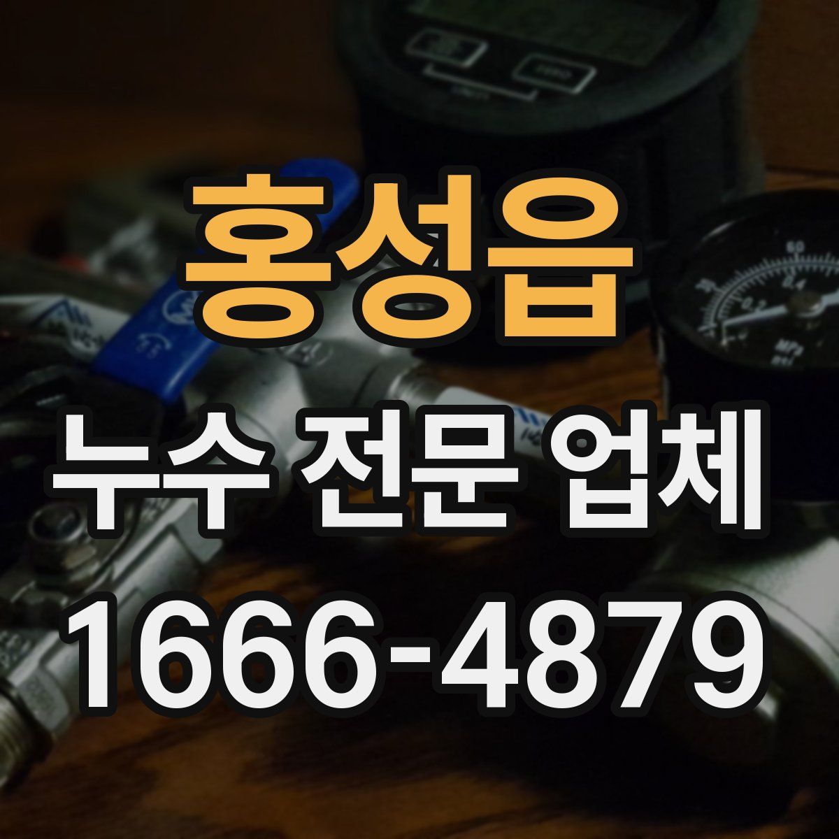 홍성읍 누수 전문 업체