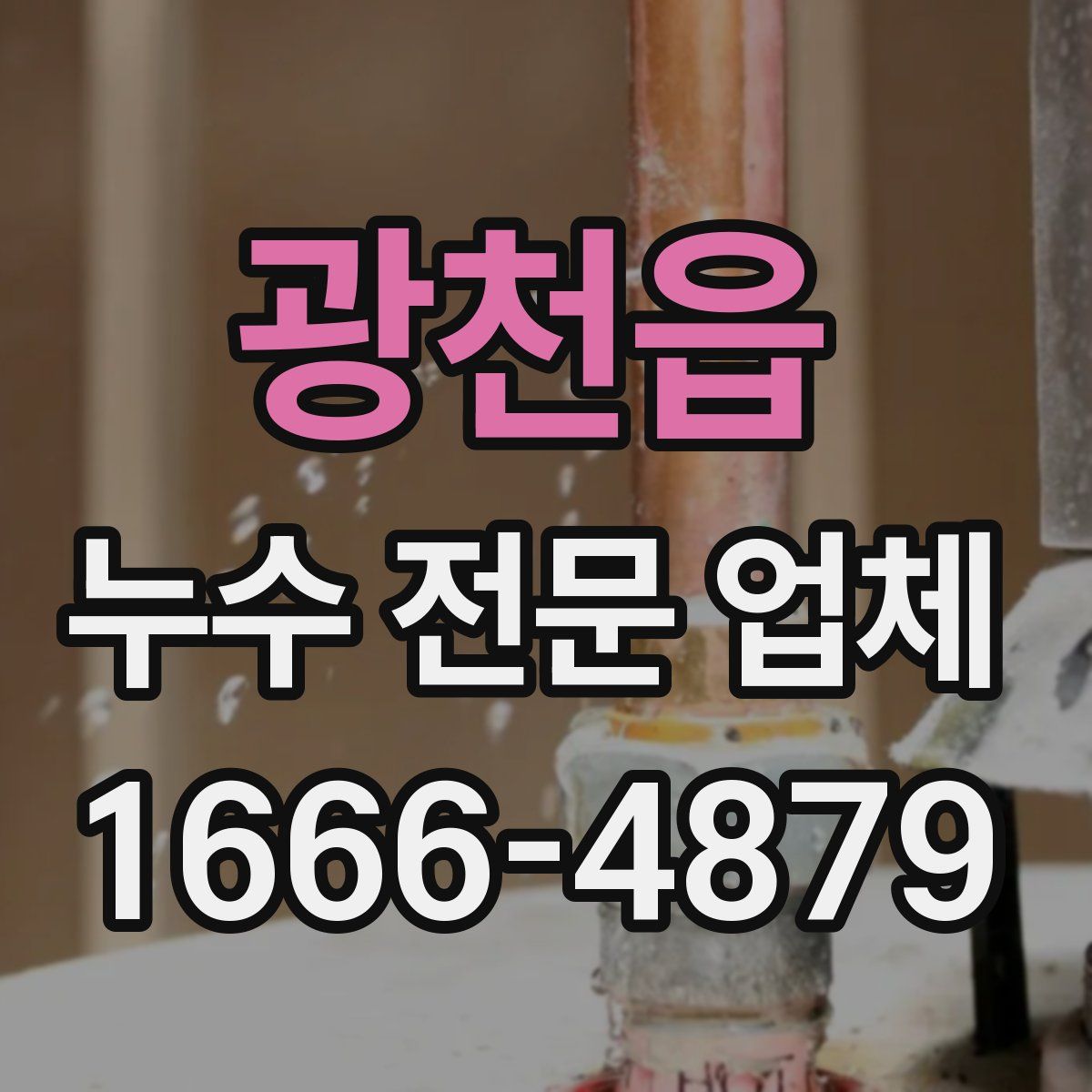 광천읍 누수 전문 업체