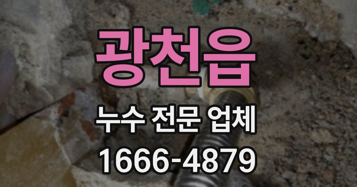 광천읍 누수 전문 업체