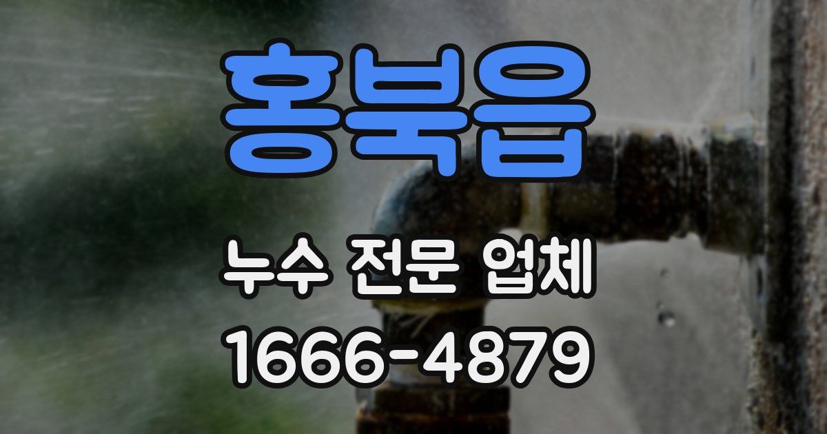 홍북읍 누수 전문 업체