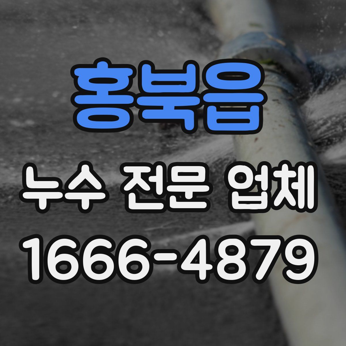 홍북읍 누수 전문 업체