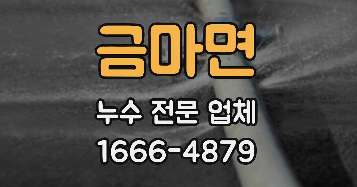 금마면 누수 전문 업체