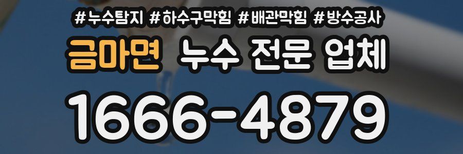 금마면 누수 전문 업체