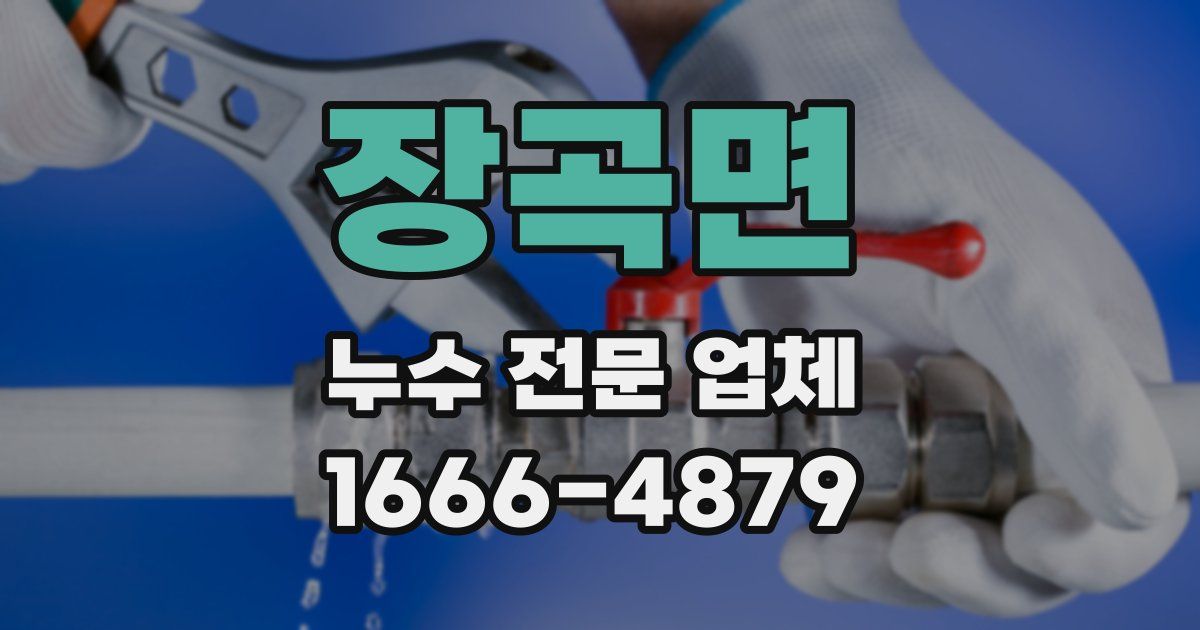 장곡면 누수 전문 업체