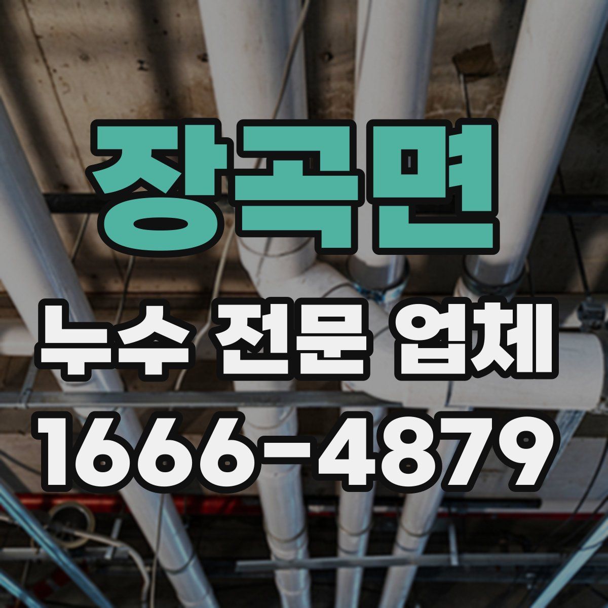장곡면 누수 전문 업체