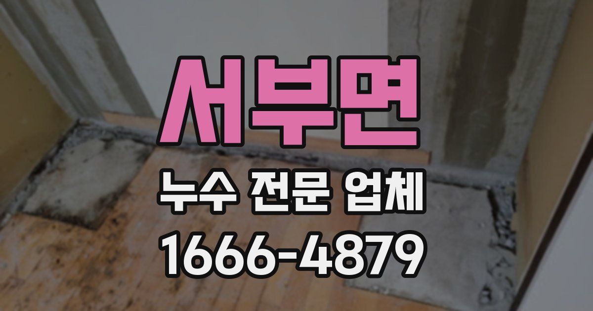 서부면 누수 전문 업체