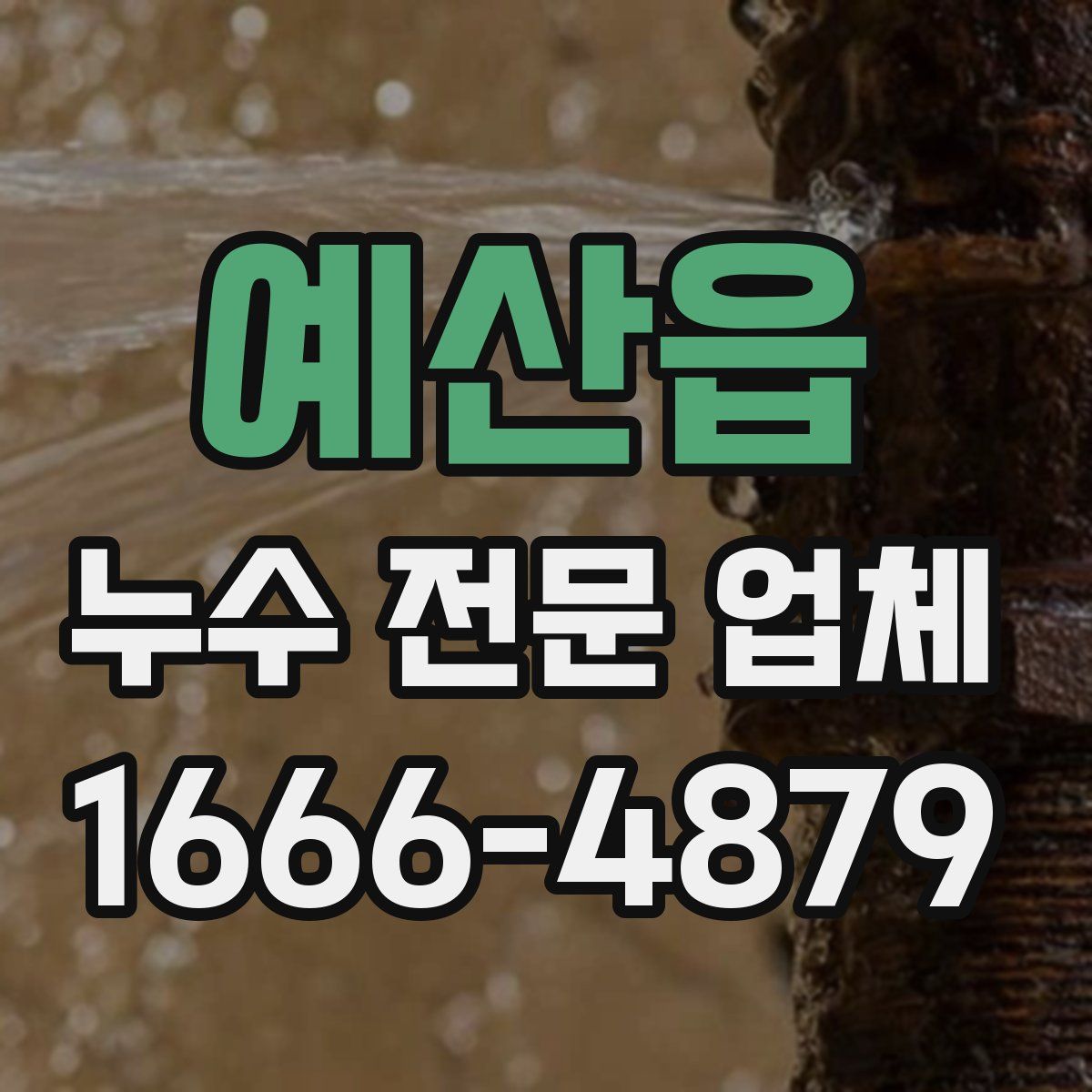 예산읍 누수 전문 업체