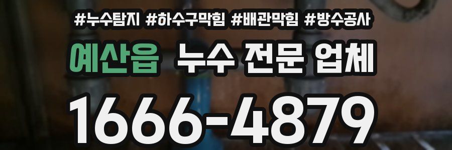 예산읍 누수 전문 업체
