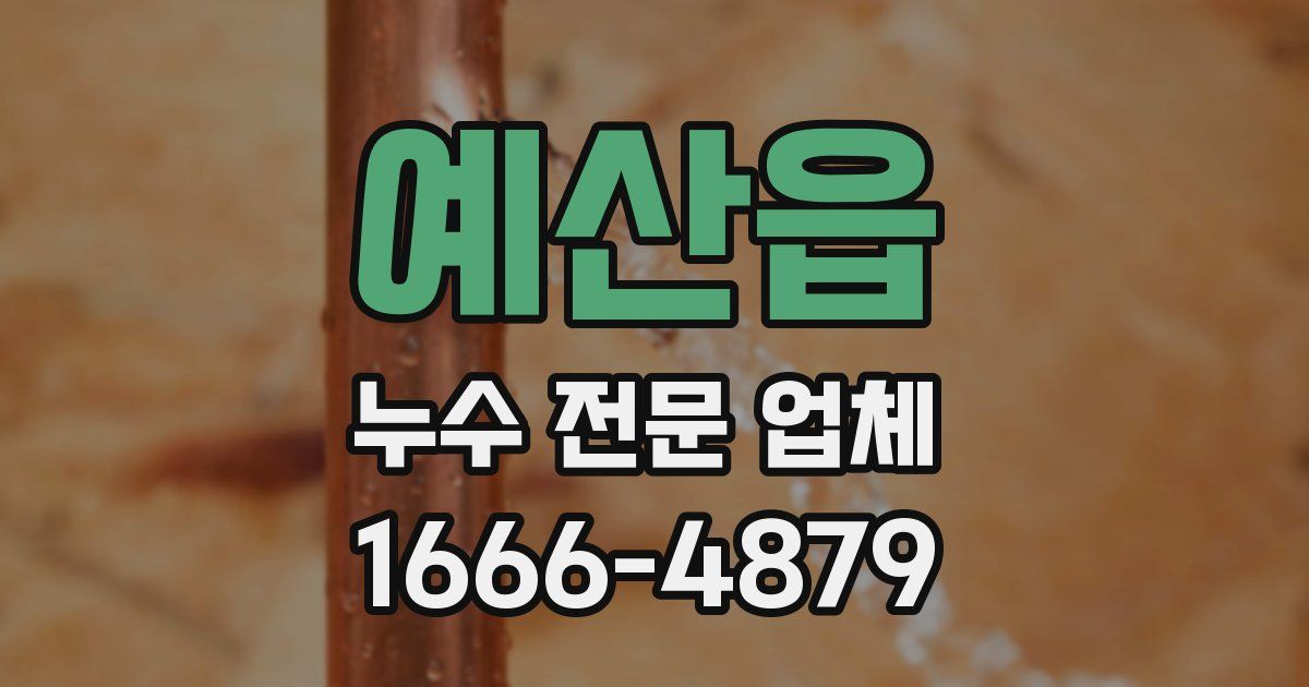 예산읍 누수 전문 업체
