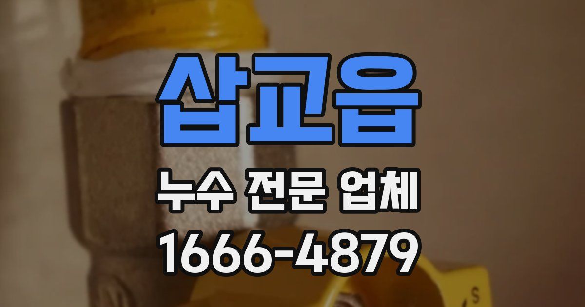 삽교읍 누수 전문 업체