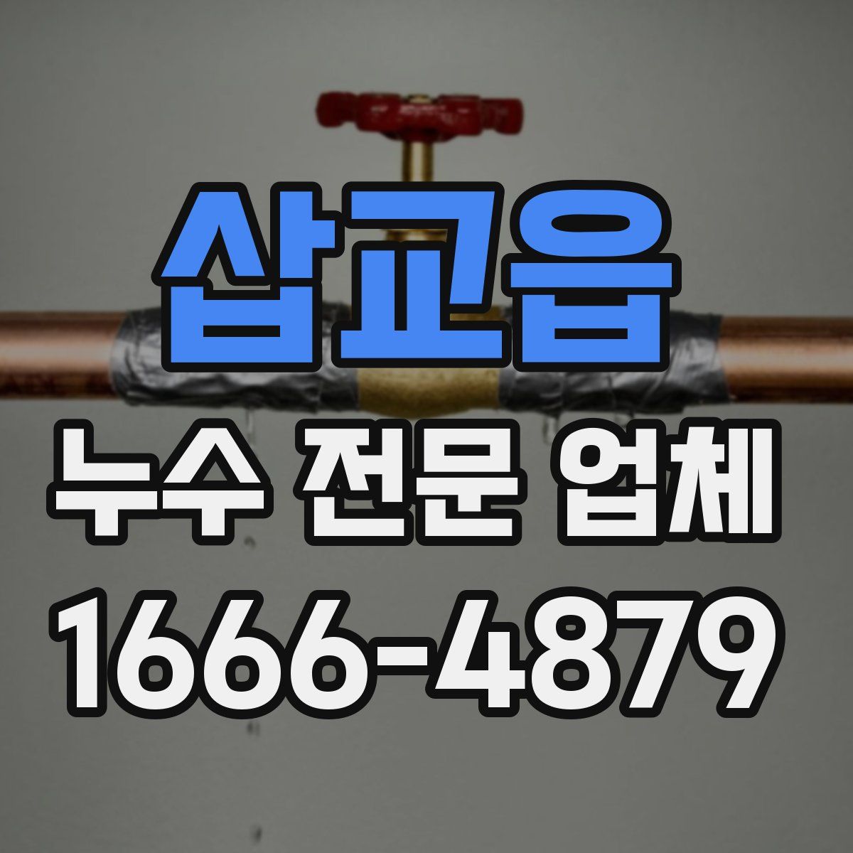 삽교읍 누수 전문 업체