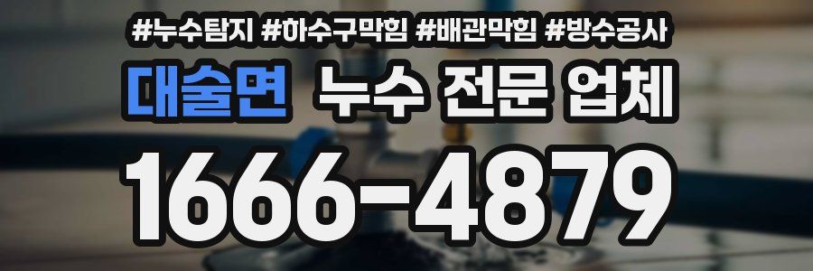 대술면 누수 전문 업체