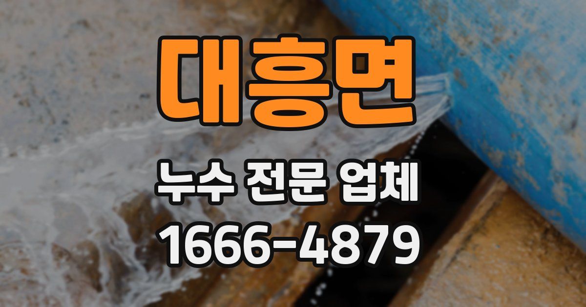 대흥면 누수 전문 업체