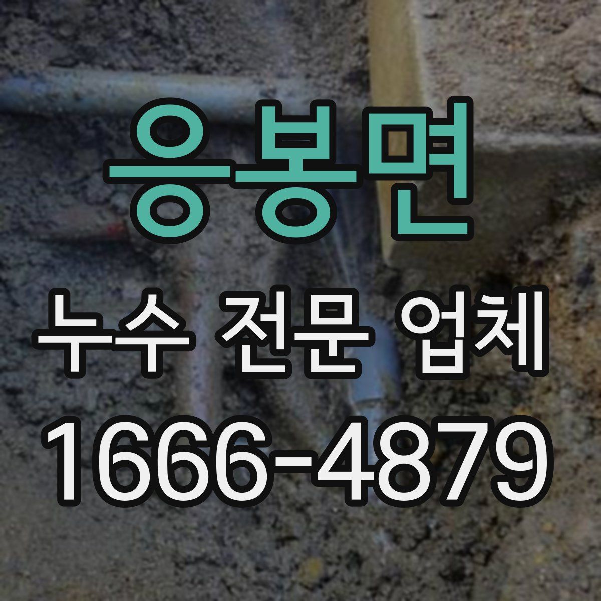 응봉면 누수 전문 업체