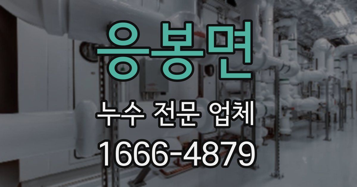 응봉면 누수 전문 업체