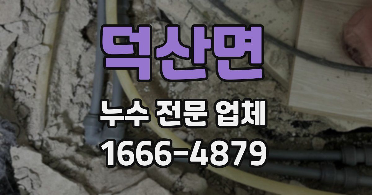 덕산면 누수 전문 업체