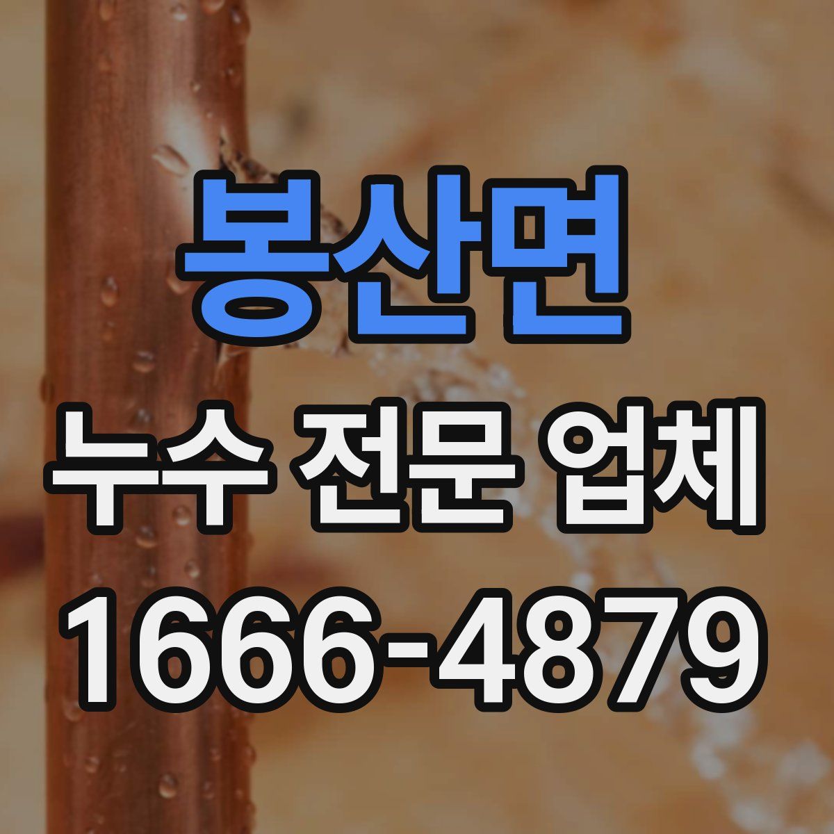 봉산면 누수 전문 업체