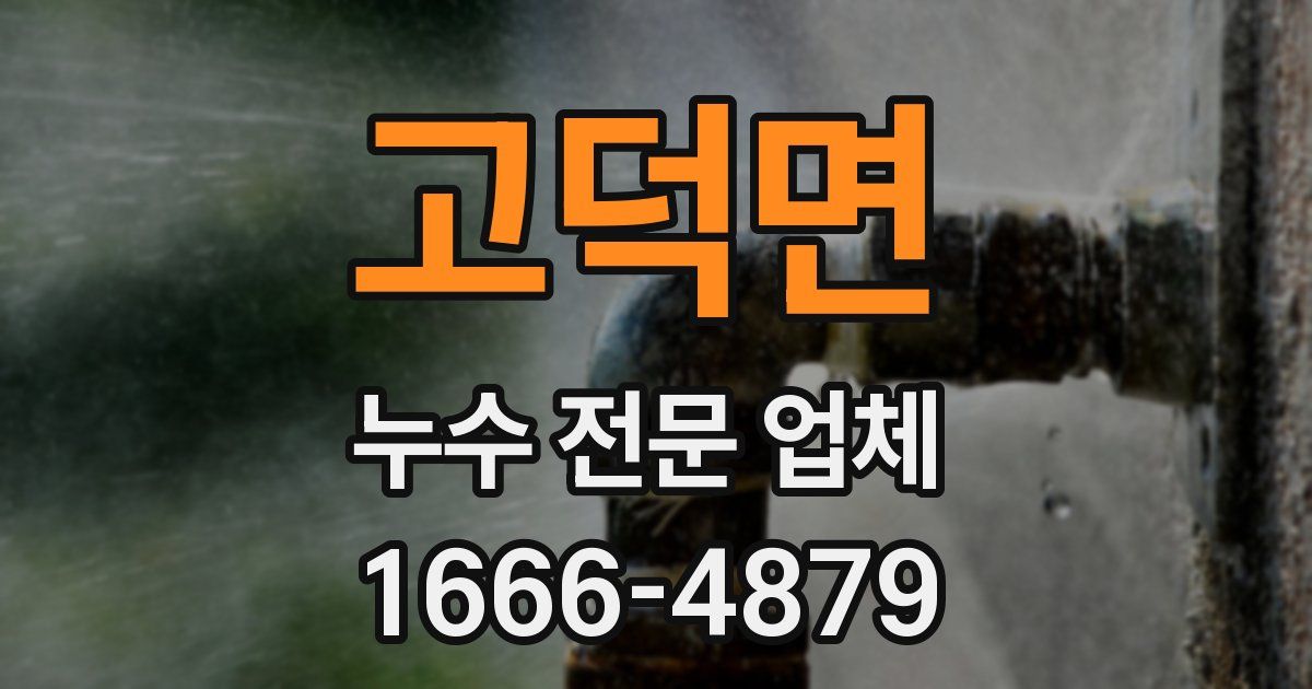 고덕면 누수 전문 업체