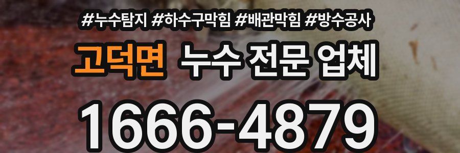 고덕면 누수 전문 업체