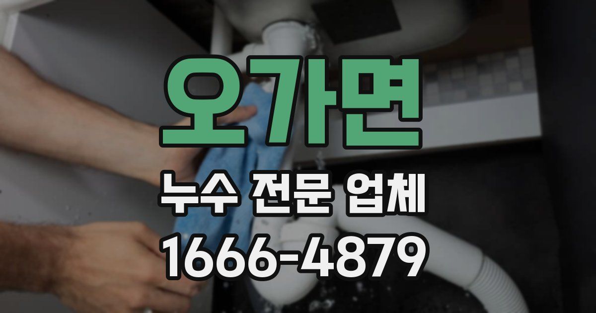 오가면 누수 전문 업체