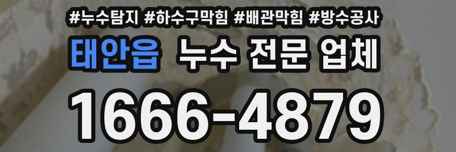태안읍 누수 전문 업체