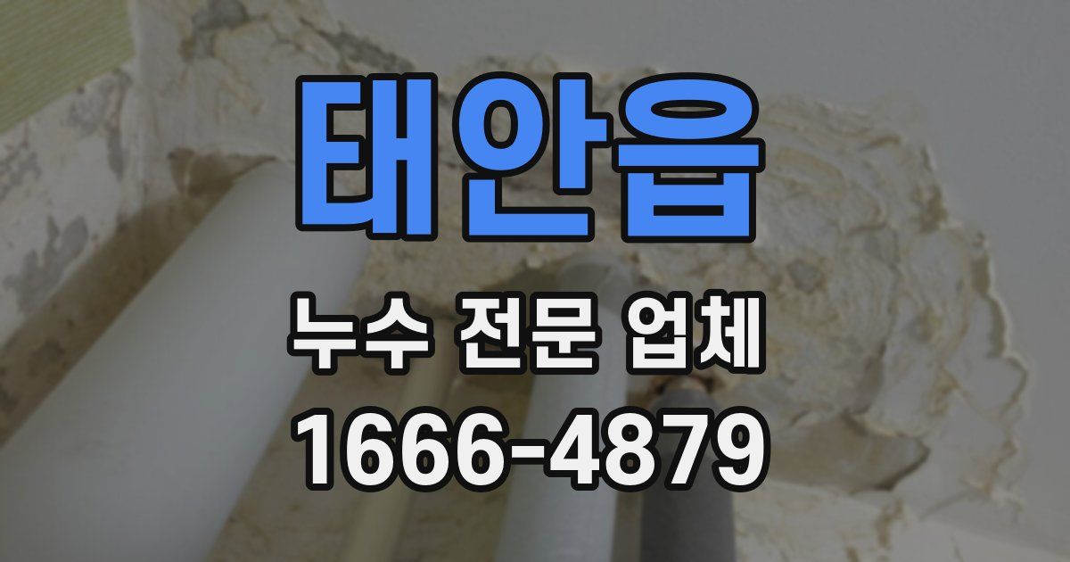 태안읍 누수 전문 업체