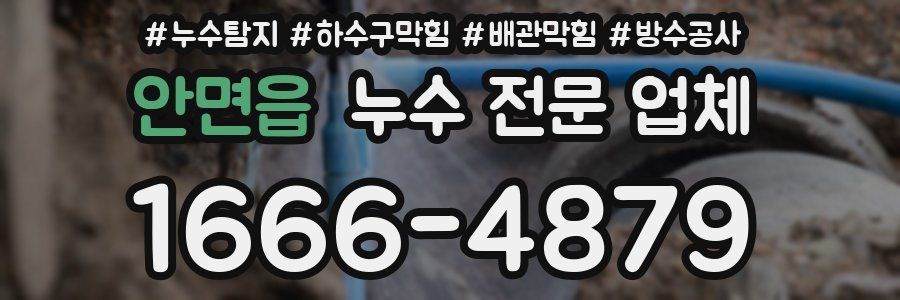안면읍 누수 전문 업체