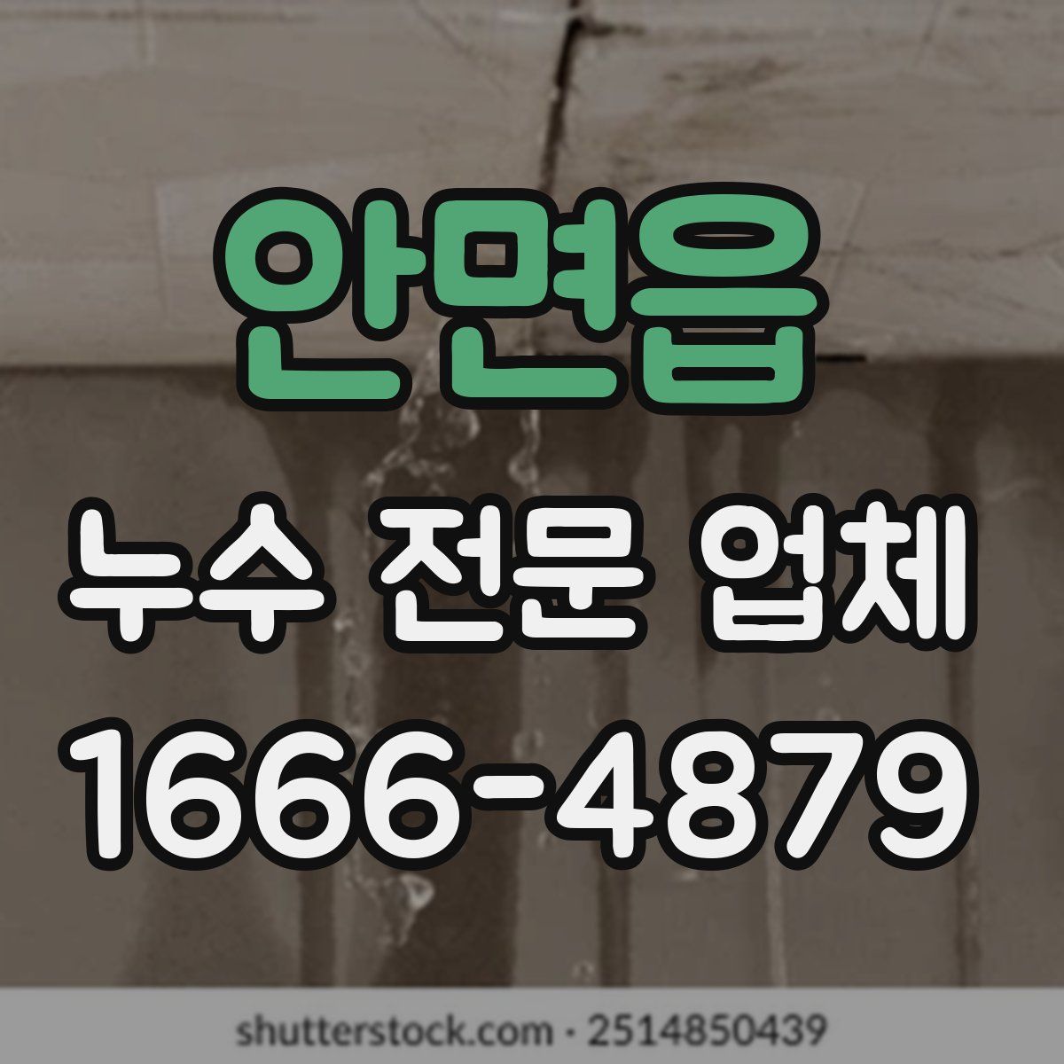 안면읍 누수 전문 업체