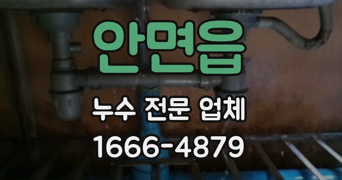 안면읍 누수 전문 업체