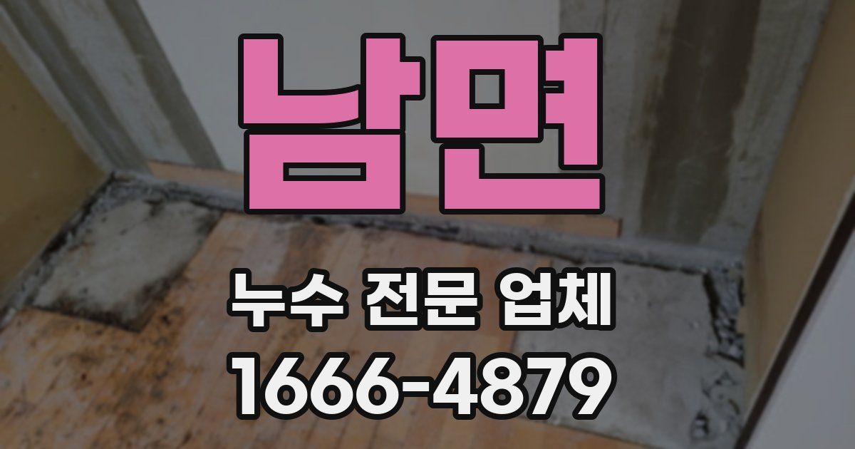 남면 누수 전문 업체