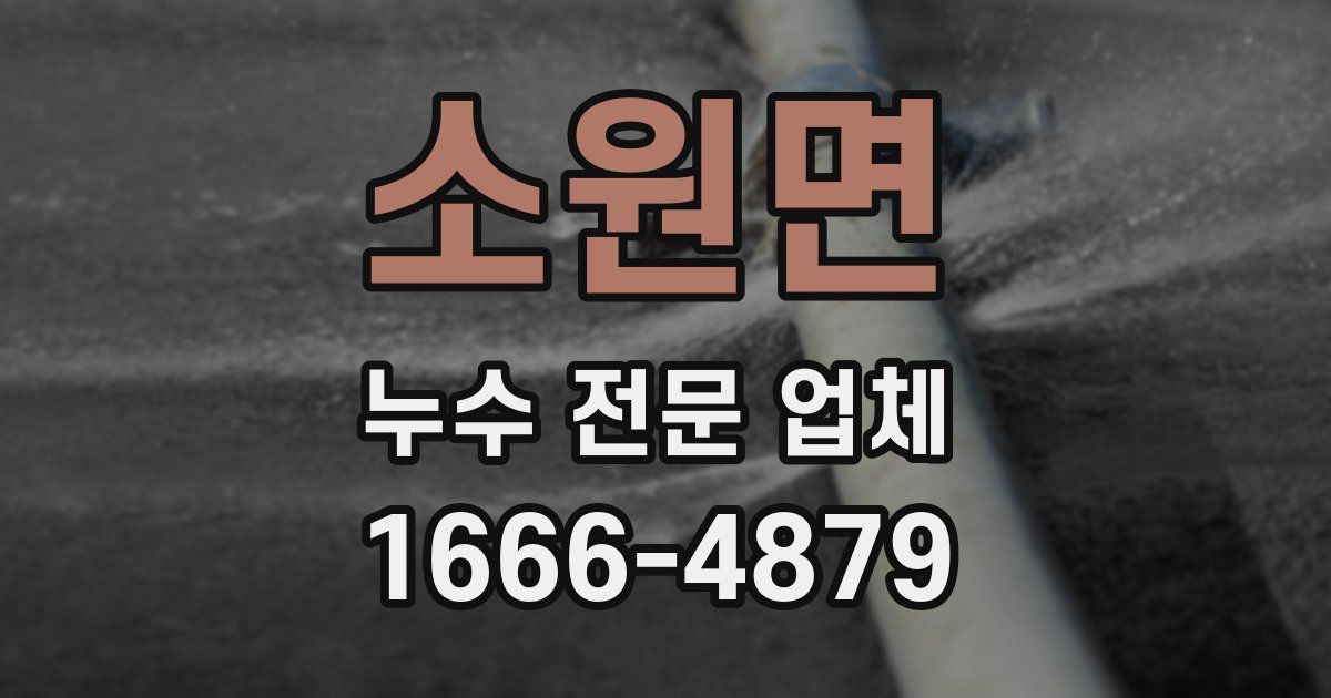 소원면 누수 전문 업체