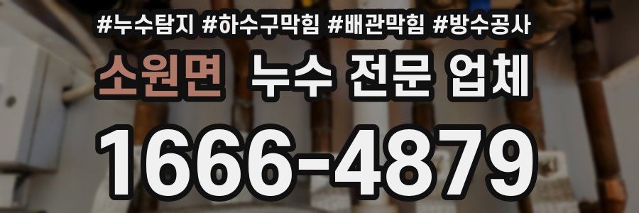 소원면 누수 전문 업체