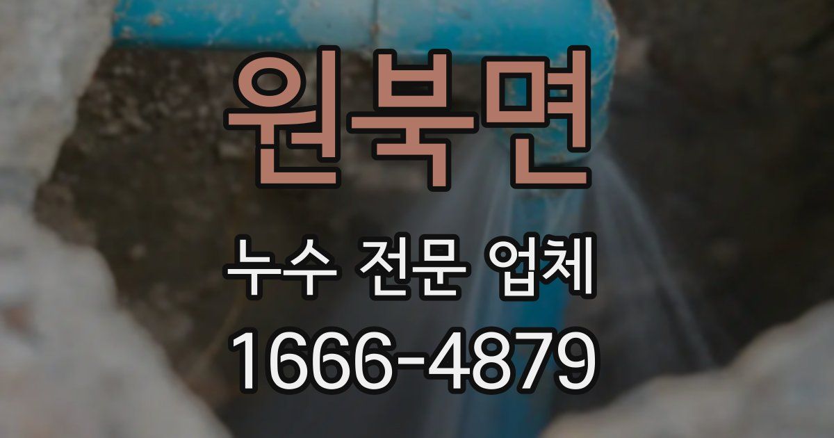 원북면 누수 전문 업체