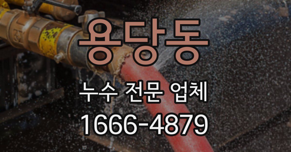 용당동 누수 전문 업체