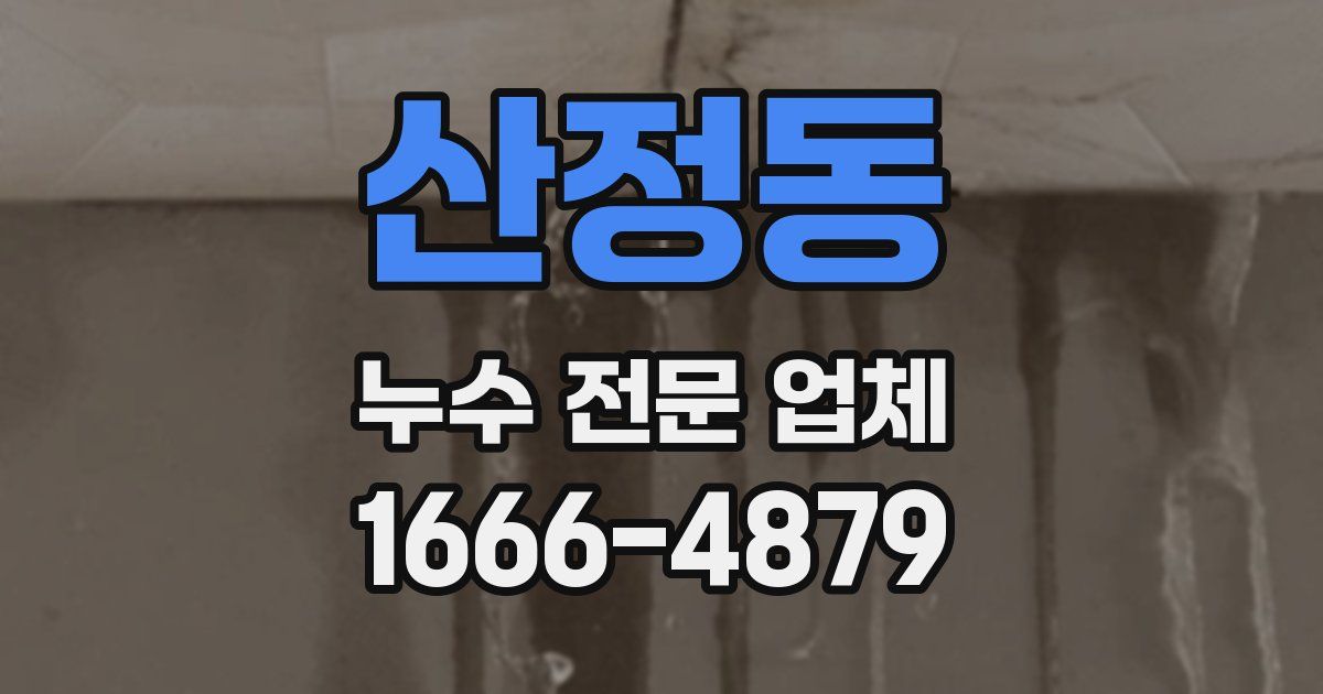 산정동 누수 전문 업체