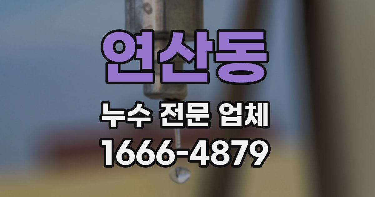연산동 누수 전문 업체